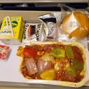 오븐 작 치킨 | 대한항공 기내식메뉴와 특별식 신청방법 및 아동식 후기