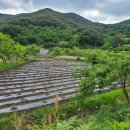 횡천면사무소 이미지