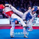 월드태권도 이미지