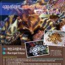 (주)파란제주 이미지