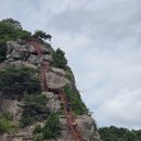 아미산농장 이미지