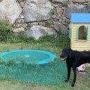 멍펜션3 이미지