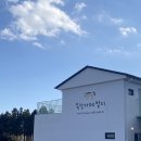 수용목장 | 제주 성산 카페 [목장카페 밭디] 알차게 즐기고 온 후기