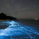 바다(sea)