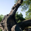 가호동14 이미지