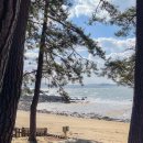 장구도 어촌계 | 태안오토캠핑장 꾸지나무골캠핑장 Ι 서해바다 바로 앞 뷰맛집