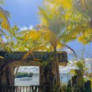 에스스포츠 | 보라카이 호핑투어업체 에스보라카이 찐으로 재미있게 논 후기