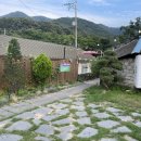 댕댕식당 이미지