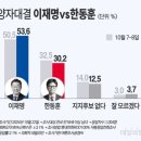 '가상 양자대결' 이재명 53.6% 한동훈 30.2% [데일리안 여론조사] 이미지