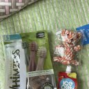 펫클럽 계양점 이미지