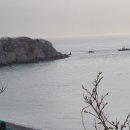 지도리의꿈민박 이미지