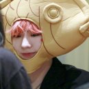 오쎄 이미지