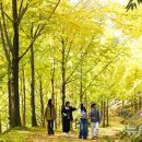 은행나무가든 이미지