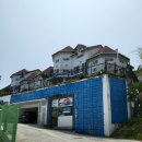 거제 해돋이가자 애견펜션(1) | 거제 애견동반 펜션 해돋이가자애견펜션 강아지 운동장 1박 후기