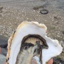 아람유통 이미지