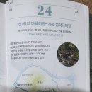 삼화1리 마을회관 Daum카페