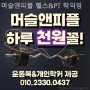 유니스프라자 | 학익동 헬스장 머슬앤피플 헬스&amp;PT 학익점 전신 운동 가능한 곳