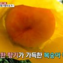 박용길 농장 네이버블로그