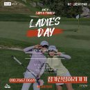 VSE 영 골프 이미지