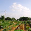 하늘농장4 이미지