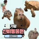 닥터바라센스 | 가평 아이랑 가볼만한곳 l 카피바라 실내 체험 신비동물원