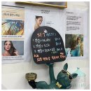 올바름 반려견 뷰티샵 | [공지] 오산헤어샵 뷰티헤어에서 예쁜 펌하고 왔어요