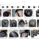 동탄본약국 이미지