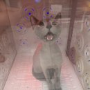 알았당개 이미지