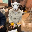 수진꽃방