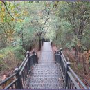 둘레길7구간 이미지