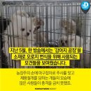 가야약국 이미지