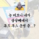 뮤즈기획 | 내가 상상페에서 뮤즈 부스 운영 중? 📢 / 2026 KT&G 상상실현페스티벌 서포터즈 뮤즈 부스 운영 후기