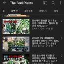 이벤트플랜트 이미지