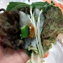 바다회뜨는집 구리수택점 콩나물화산 매운탕 맛집 구리 횟집