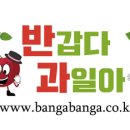 비타민청과 이미지