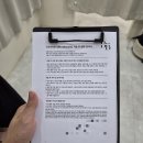 바비네일샵 | 부천 송내역 왁싱 전문, '브로우바비왁싱'에서 페이스 왁싱 풀코스 받고 온 후기!