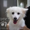 다루동물병원 이미지