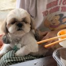 포구나무민박 이미지