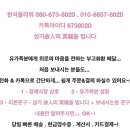 광주정품화환배달 이미지