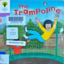 The Trampoline 이미지