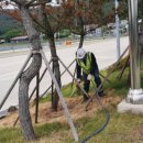 낙동간이쉼터 이미지