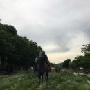 2026 서울숲 국제정원박람회 도슨트 관람 후기