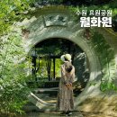 죽림(중국식) | 수원 효원공원 월화원 단풍 반영 사진, 주차