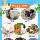 구미동어린이집 이미지