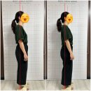 비뉴필라테스 - 원주시 양지뜰3길 19-1 | 비뉴필라테스