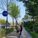 아이리스PC 잠실점 이미지