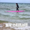 스티프서프 | 월포 스티프서프 포항점에서 어린이전문 서핑 강습 체험 추천