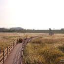 너울