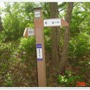 보성녹차골휴게소 이미지