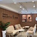 모리셔스브라운 춘천점 | 후평동 모리셔스 브라운 춘천점 방문후기